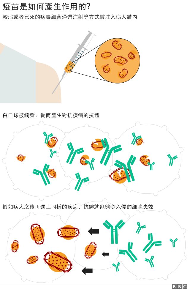 最新疫苗造偶事件分析：危机与防范措施