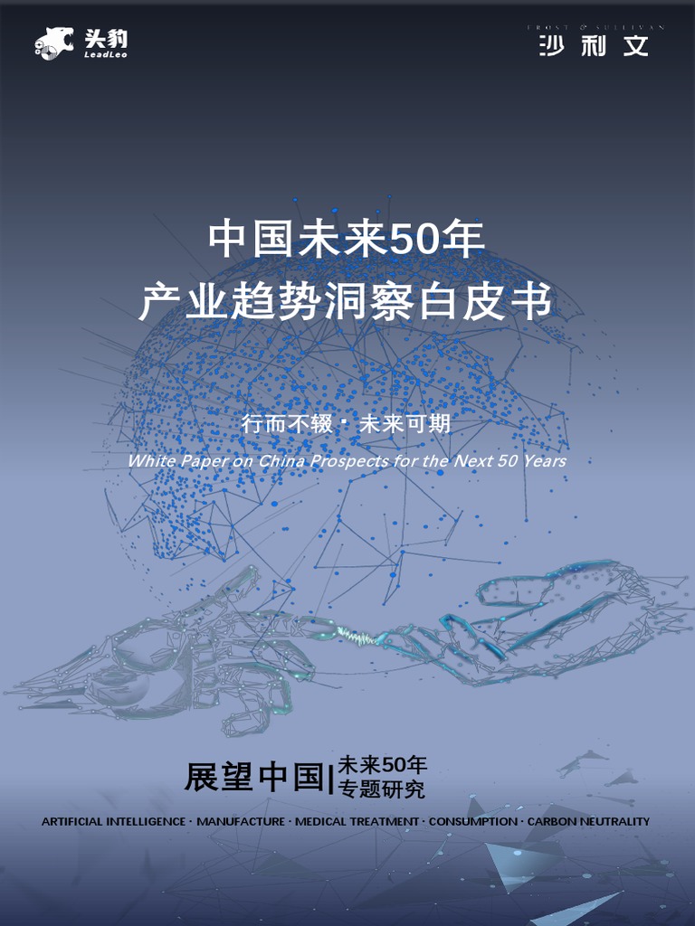 糙文最新解读：风格演变、创作趋势及未来展望