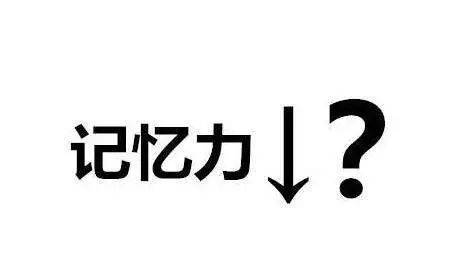 探秘最新的记忆：神经科学与人工智能的交汇