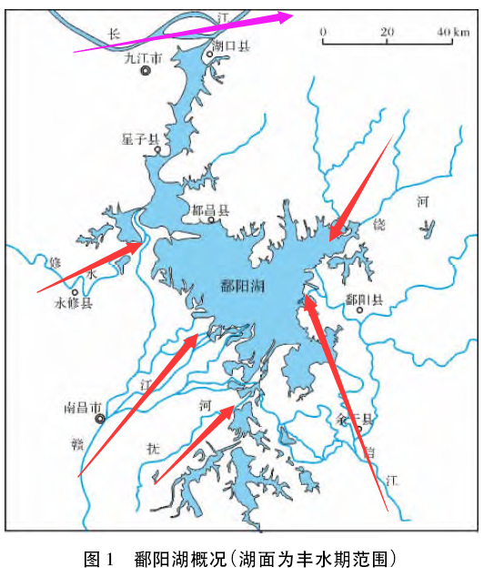 权威解读：湖口县最新水位信息及影响分析