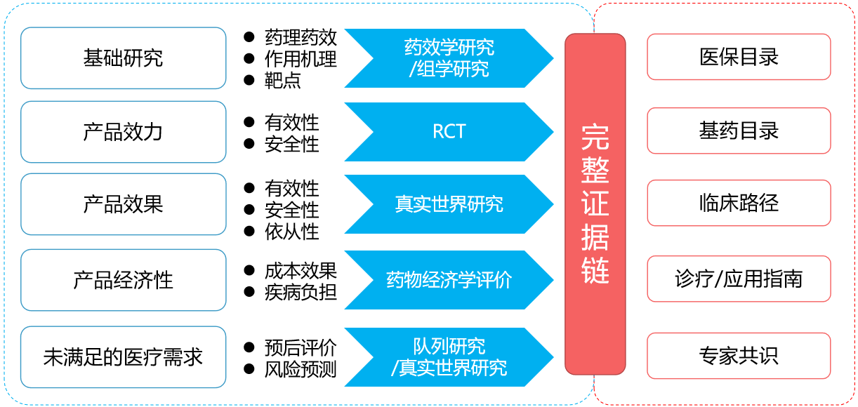 药品法律最新规则详解：从监管制度到市场管理的全面分析