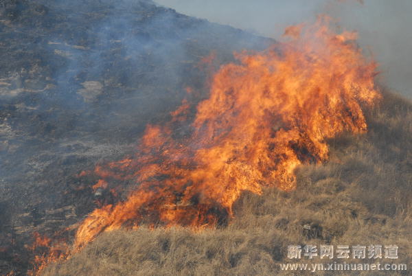 云南最新火情：多地山火肆虐，防范措施及未来挑战