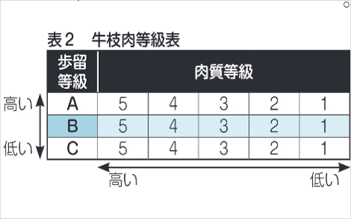 探秘斗牛赛事：看最新斗牛，体验速度与激情的碰撞