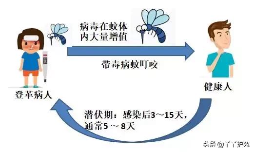 2023年最新登革热病例数据分析：疫情传播趋势与防控策略