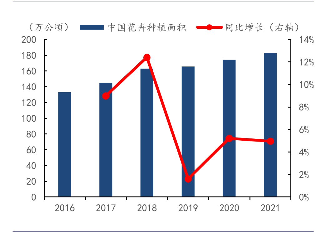 今日花价最新行情：各种花类价格动态分析及市场趋势预测