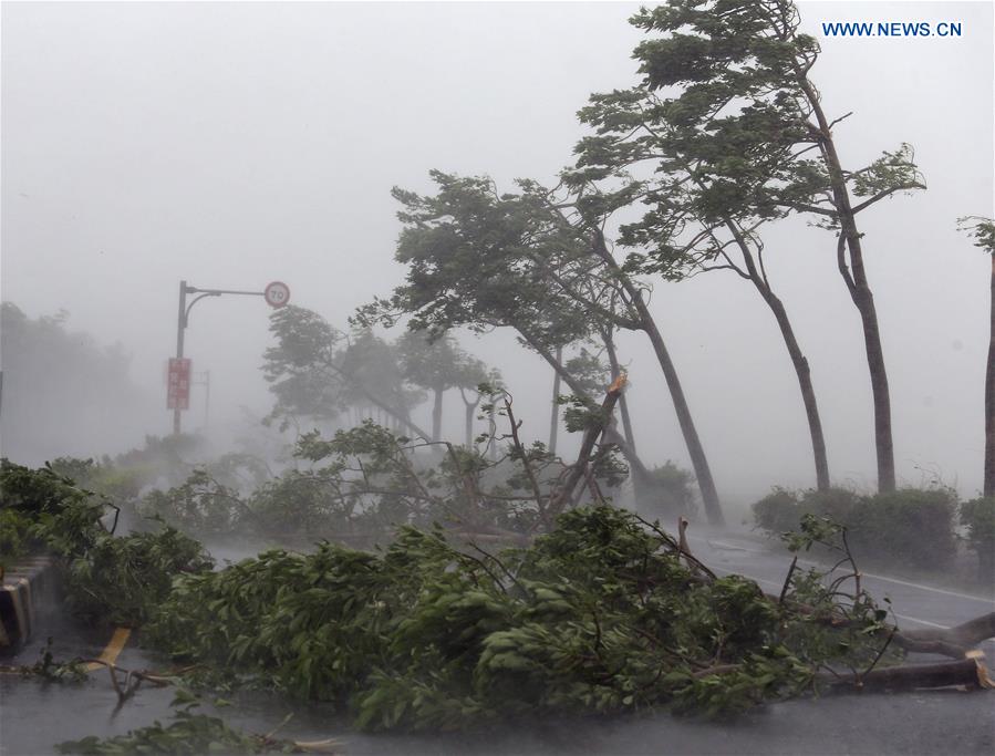 巴威台风路径最新预测及影响分析：台风路径预测技术与未来趋势