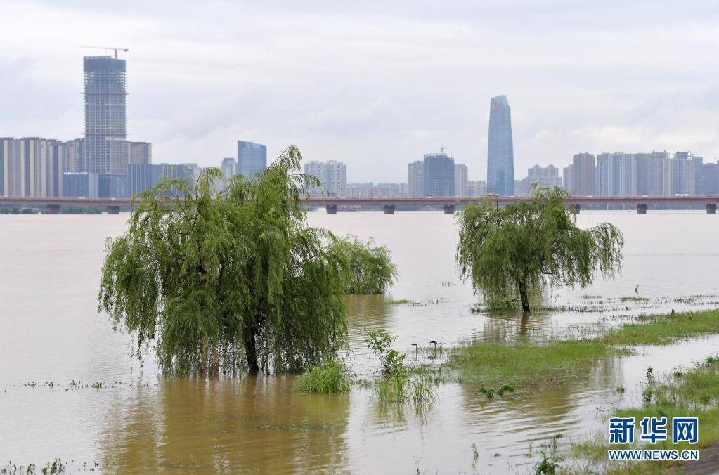 江西汛情最新：多地水位上涨，防汛抗洪刻不容缓