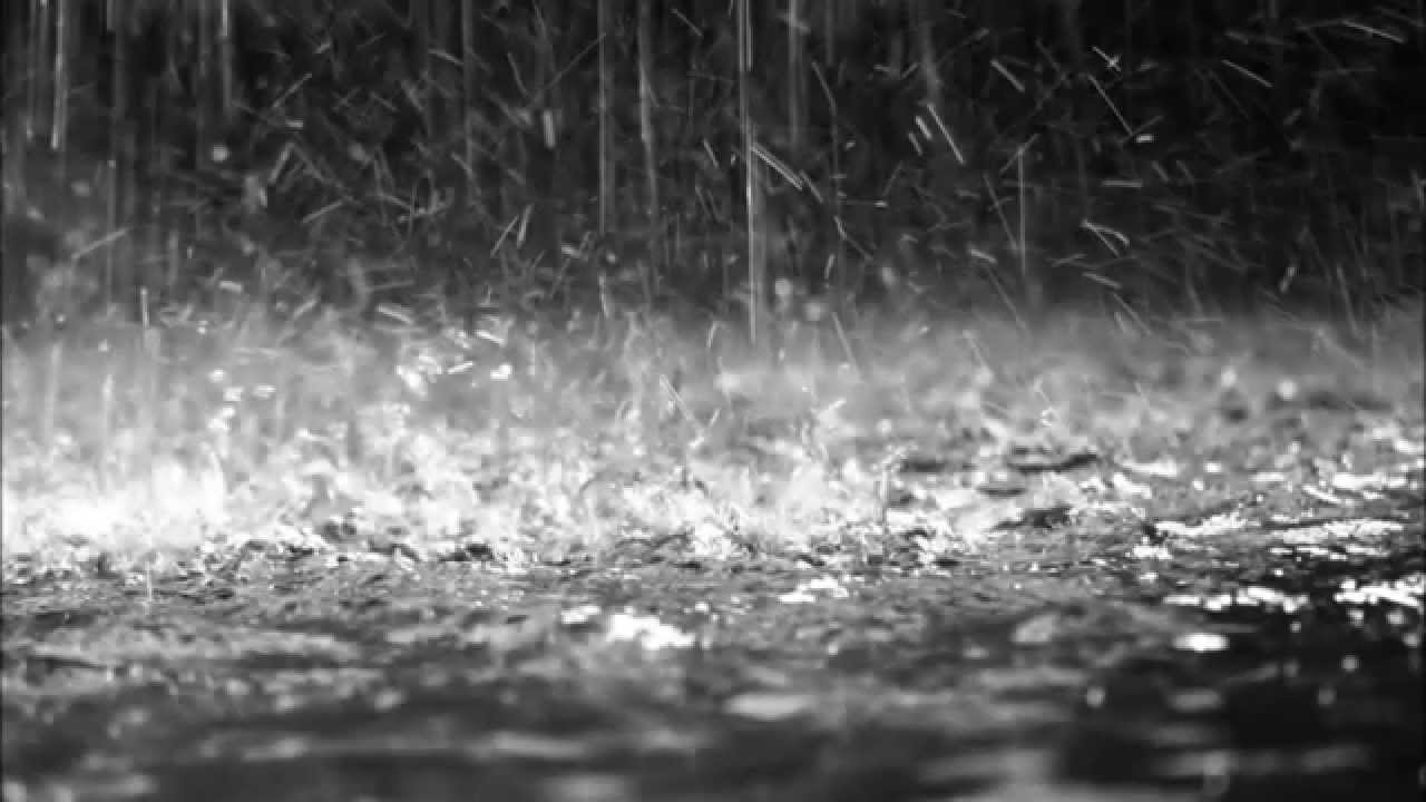 海南暴雨最新消息：持续强降雨致灾情严重，多地受灾严重，未来走势预测