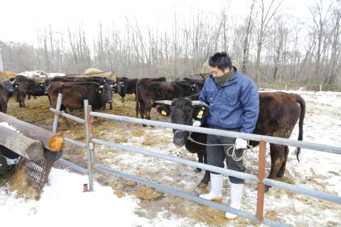 北白象镇最新招聘信息：岗位、薪资及发展前景深度解析