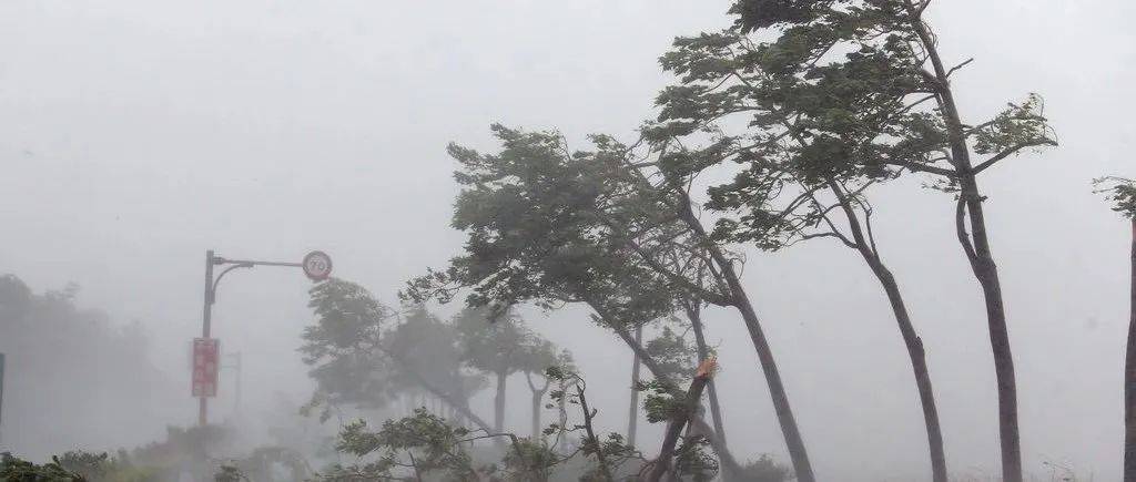 2017年7月厦门台风最新消息：风雨来袭，城市应对