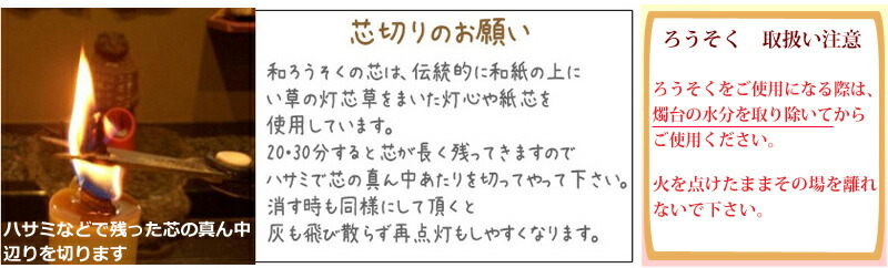 最新散花：解码潮流趋势与未来发展，洞悉网络热词背后的文化力量