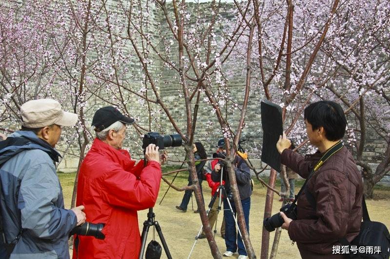 石家庄明海花香城最新消息：发展状况、优缺点分析及未来趋势预测