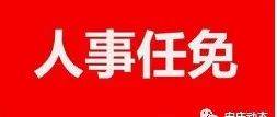 平顶山市最新人事任免：解读干部调整对城市发展的影响