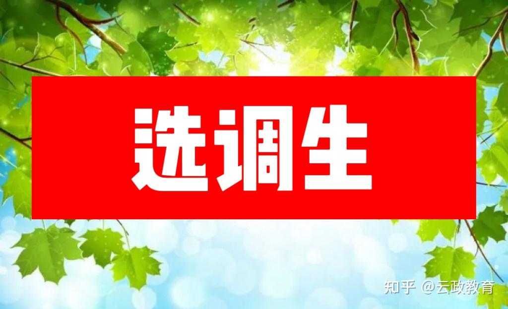 云南公投最新招聘信息：职位需求、薪资待遇及未来发展趋势深度解析