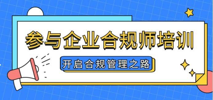 整改最新动态：政策解读与未来展望