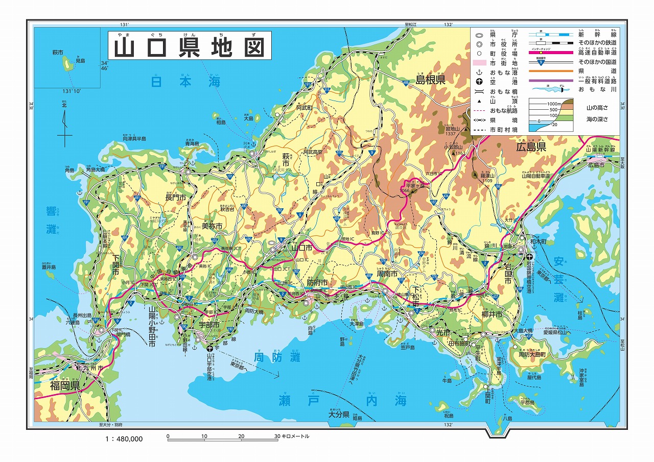 鹤山市最新交通事故分析：事故类型、成因及预防措施