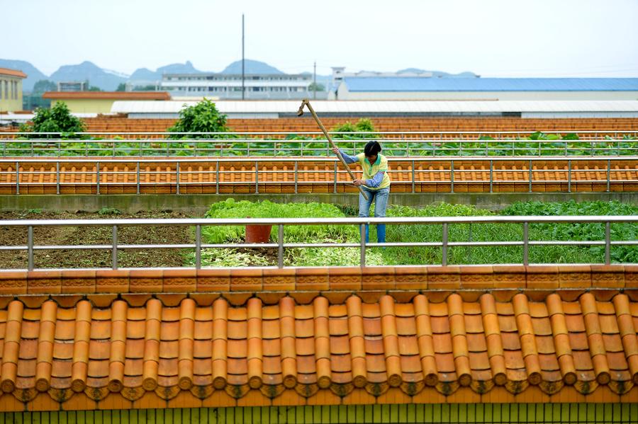 石家庄湿国荣园最新消息：住宅高级发展和投资利息分析