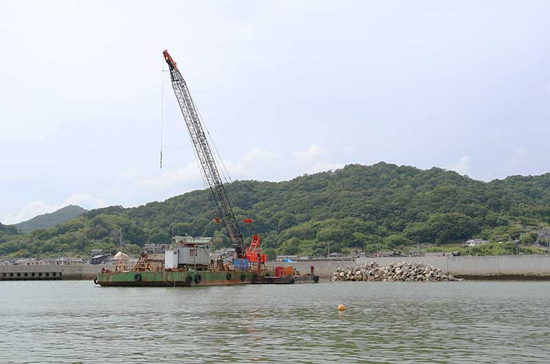 漳州港芯云谷最新消息：产业布局、发展前景及潜在挑战深度解析