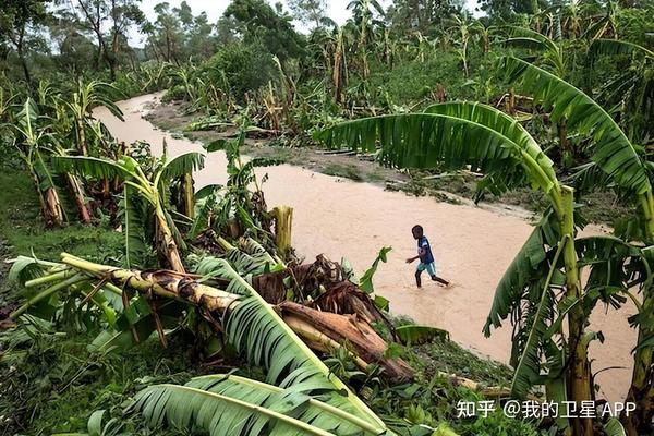 上海天气预报台风最新消息：路径预测、防御指南及潜在影响深度解析