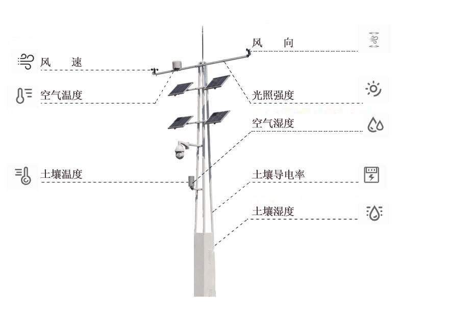 河南大蒜批发市场行情价格深度解析：供需关系、价格波动及未来走势预测