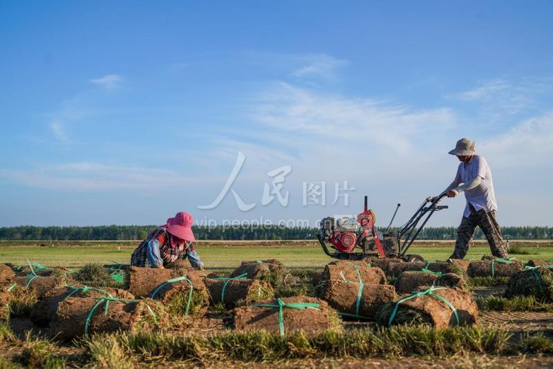 荆州草市棚改最新消息：拆迁补偿方案详解及未来发展规划