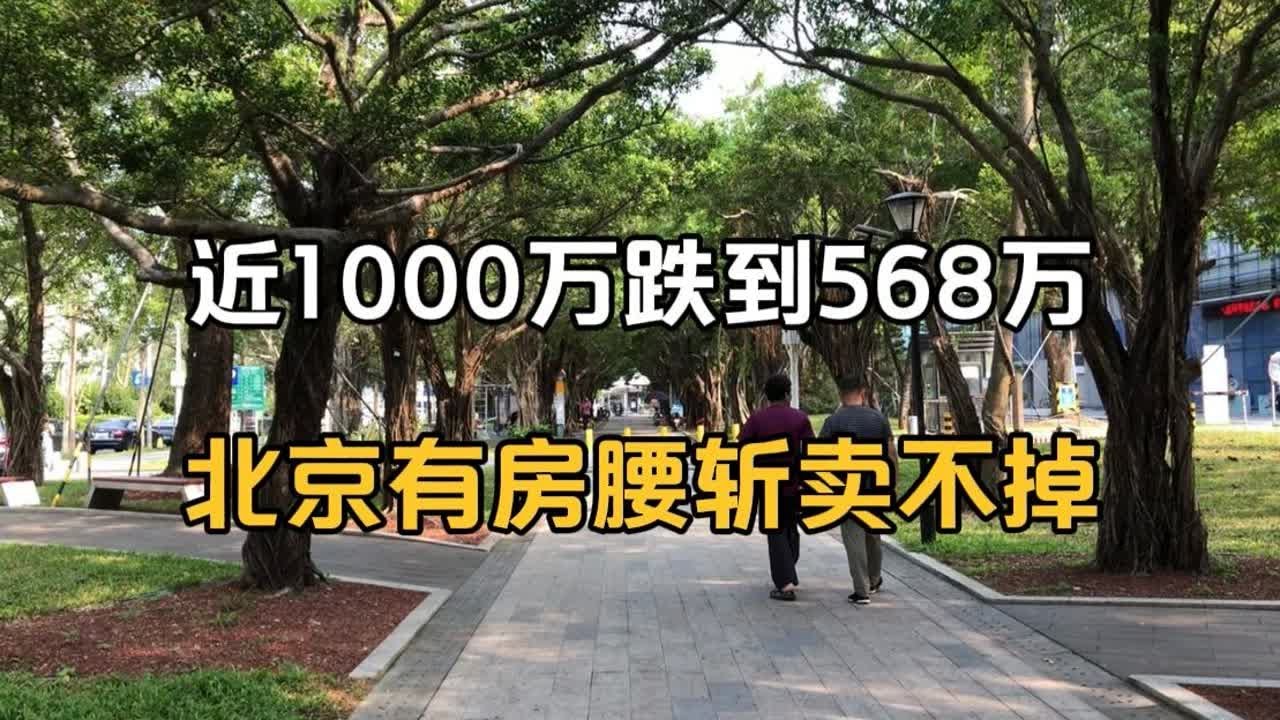 文一学府里最新动态：深度解析楼市风向与未来发展趋势