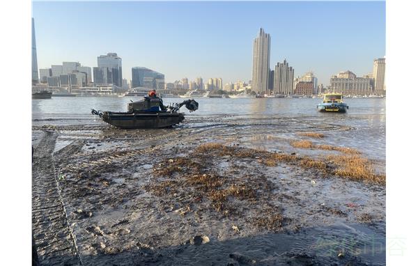 浦东川沙最新发展规划：乡村振兴战略下的产业升级与生态建设