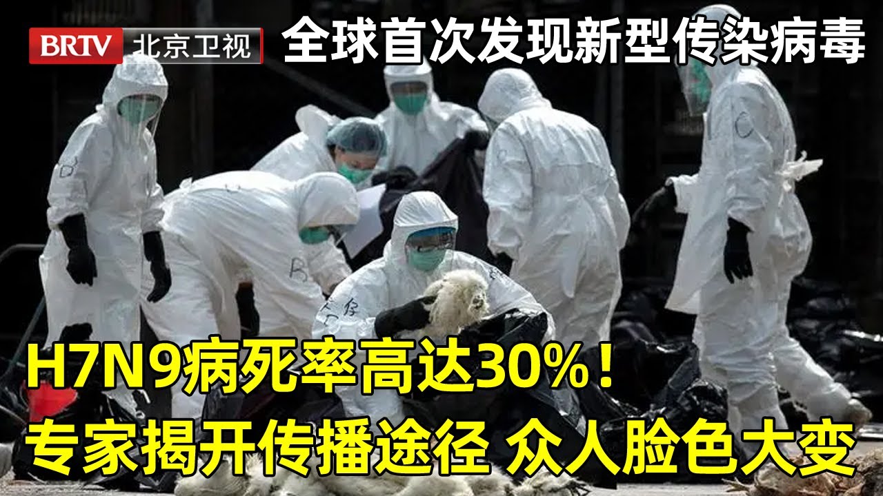 H7N9重庆最新消息：疫情防控形势分析及未来展望