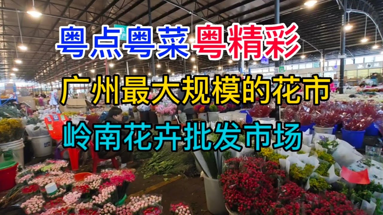 今日飞天草田价格最新行情：参考价格动态分析及市场趋势预测