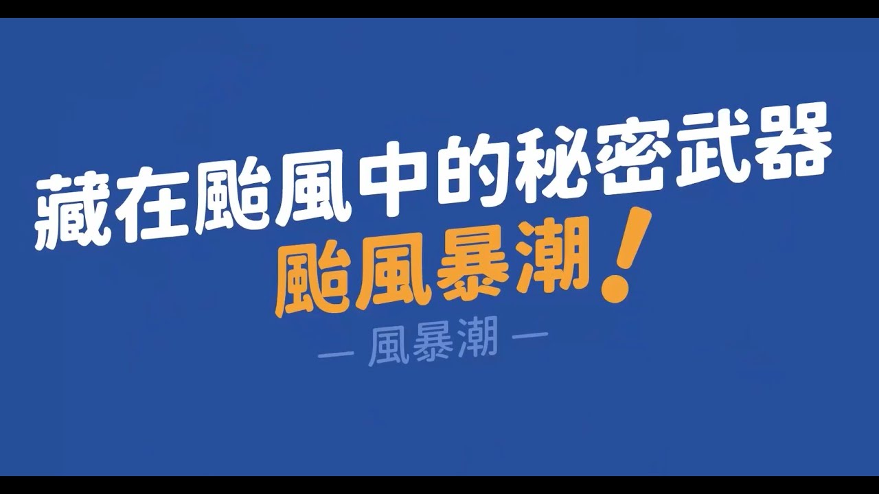 2025年2月12日 第47页