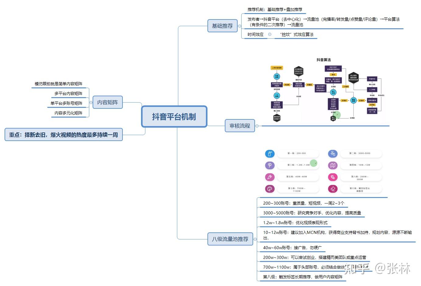 夜幕下的精灵：最新夜抓黑水鸡视频解析及生态思考