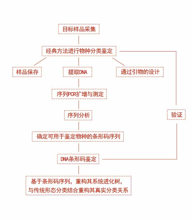 痕迹最新：探秘科技进步下的证据追溯与未来展望